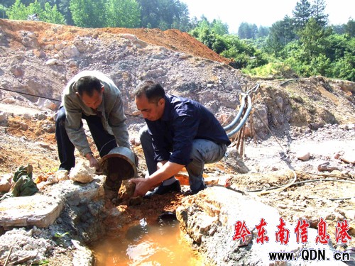 ˼������ʮ�˶�Ͷ��22�fԪ��Z���ʡ�