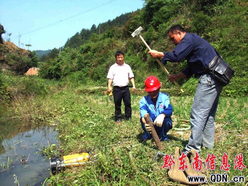 ˼������ʮ�˶�Ͷ��22�fԪ��Z���ʡ�