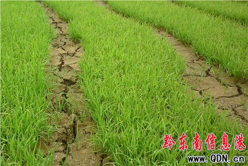 �얿hί���h������ֿ϶����������D��