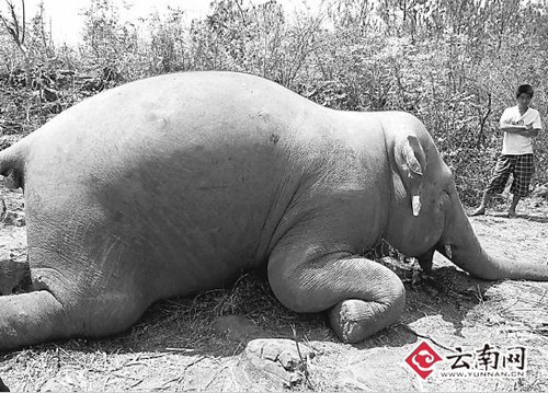 �ն��������|����� ͬ���غ�37С�r���xȥ