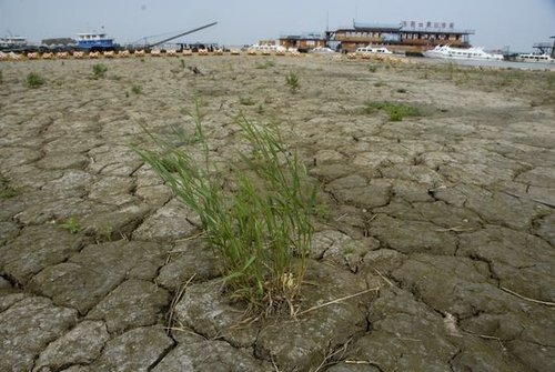 �ؼҌ������l�ſ����a�N ��ˮ���{Ҫȫ�濼�]