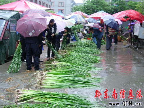 �������ѡ����ݟ��N���D��