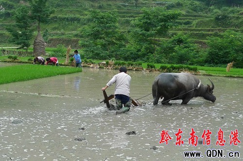 �����硱�ѹ�(ji��)����â�N��(�M�D)