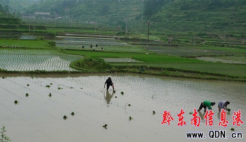 �����硱�ѹ�(ji��)����â�N��(�M�D)