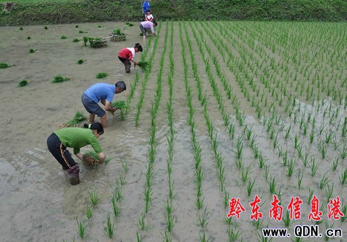 �����硱�ѹ�(ji��)����â�N��(�M�D)