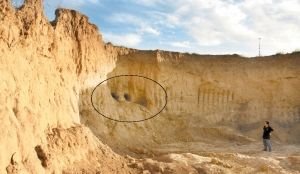 7����С�W����ص������l���� 5�˱���3��1��