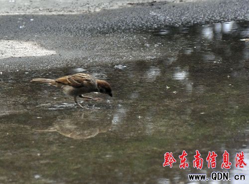 ���eҒʳ 悶����� �@ֻ�B�������ˣ��D��