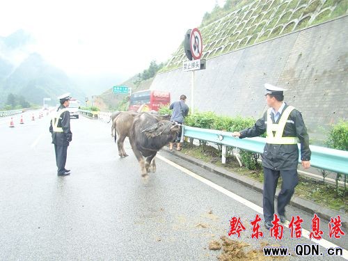 ���������\ţ؛܇�ȷ� 6�^ţ�ݺݳ���