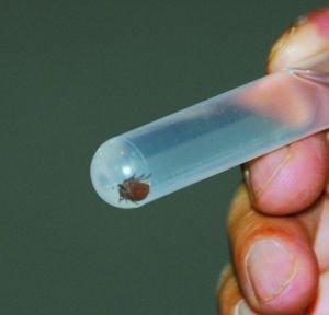 �����@��6��14�գ��ڱ����в�ƽ�^���������Ĕz�ı�����Q��Č��ﹷ����ȡ�µ����x�����A��l