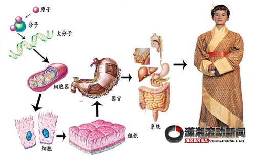 �R������׷����Ó�}�� �����ȫ�������ȡ�