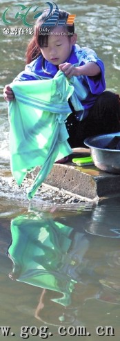 �ؒУ�һ���Ŵ���İl(f��)չ̽�����M�D��