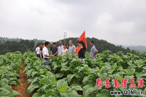 ���h��һ��:�����������h�T����ϣ������Ұ��