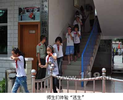 ������������M�t�T�n�� ���������挦�������