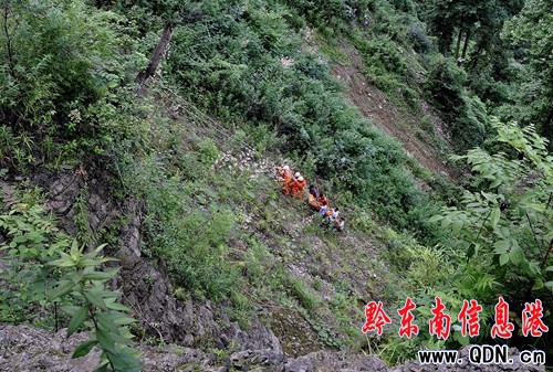 7.1�¹�׷ۙ��11���s���w�� 8�����ϲ��w·