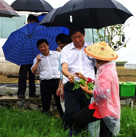 ʡί��ӛ����(zh��n)�������Ž��h�����{(di��o)�У��D��