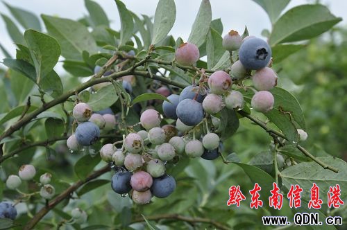 ���M�{ݮ�����w�ԭ���B�l���L�⣨�D��