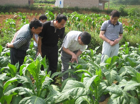 �T������꠸��Sƽ�h�{�п������a����