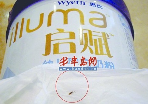 ���u�����̷���ȳ��x�� �k��̎�Q���M�Йz�y