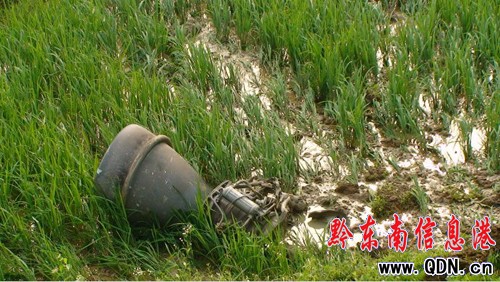 ��ʮ���w���������l�ǰl�� �l�әC������h