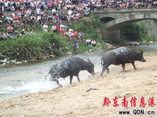 ��ɽ8�f������ͬ���g�ȡ����³��¹������D��