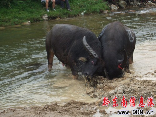 ��ɽ8�f������ͬ���g�ȡ����³��¹������D��