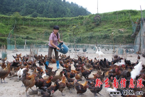 ��ɽ��ҋDŮһ���r �B(y��ng)ωι�uٍ���X���D��