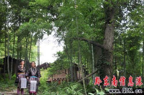 �l(xi��ng)�����΄ٵء����F�݄�����ɳ���M�D��