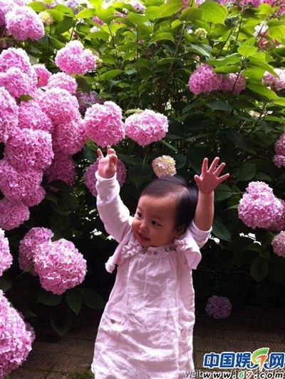 �M�D:�wޱŮ������(b��o)�����ع� �W(w��ng)���@��̫�ɐ���