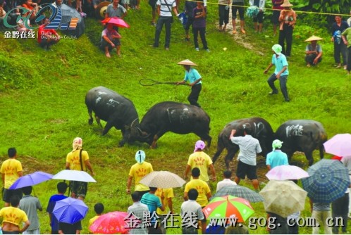 ��ɽ��� �g�ȡ����¹�(ji��)�����D��