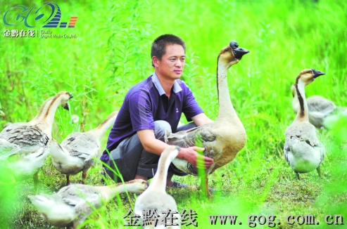 �Sƽ̫�̴���ɫ�a�I���r�ң��D��