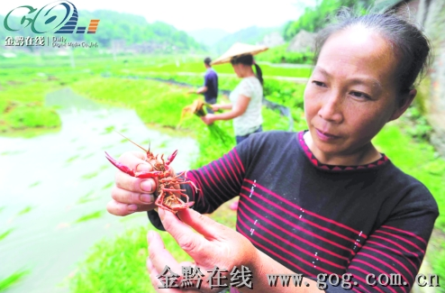 �Sƽ̫�̴���ɫ�a�I���r�ң��D��