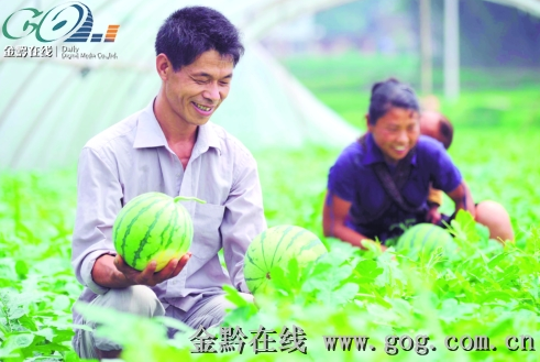 �Sƽ̫�̴���ɫ�a�I���r�ң��D��