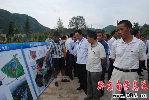 �P�｛���_�l�^�M���h�T���ɲ��o���ݑc(�D)