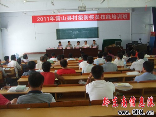 ��ɽ�e�k�弉������߆T������Ӗ���D��