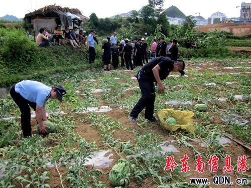 ��(sh��)ʮ�������_�� �񾯿ʹ��f�ڝh���M�D��