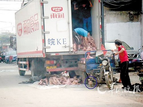 �ꝙ��ָ35�������\�����r�⡱ �Q؟��������