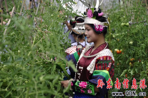 ǭ�|�ϰ�����ˇ������P���гǽ����L���M�D��