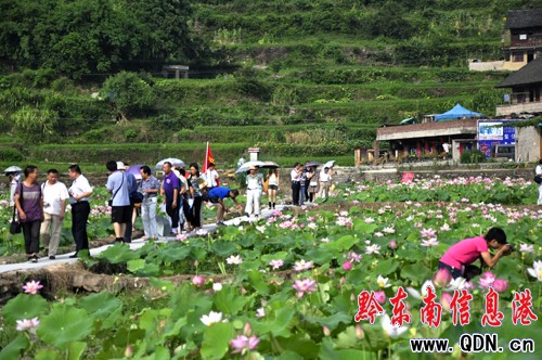 ǭ�|�ϰ�����ˇ������P���гǽ����L���M�D��