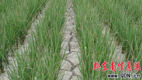 ���˴����ε��\���h�{�к���(�D)