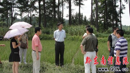 ���˴����ε��\���h�{�к���(�D)