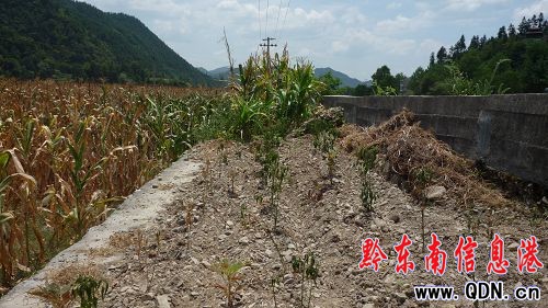 ���m���ߜ����Ӱ� �������ߜظɺ�(�M�D)