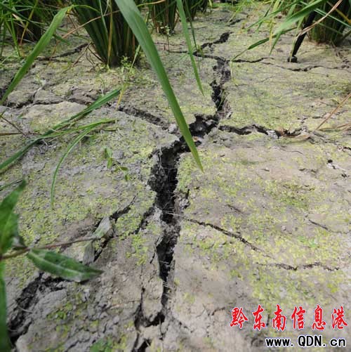 12�f���r���ܞ� ���ӿ����ͷ����Єӣ��D��