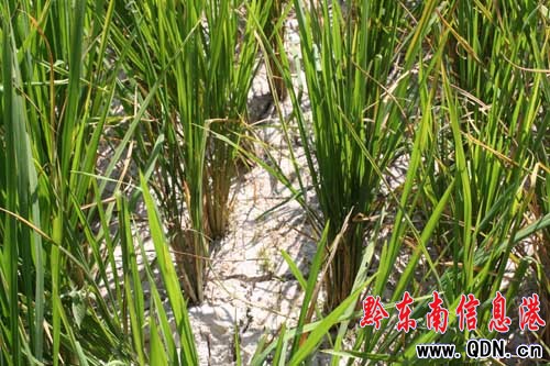 �������գ��F�ݸɺ����m���أ��M�D��