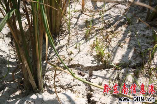 �������գ��F�ݸɺ����m���أ��M�D��