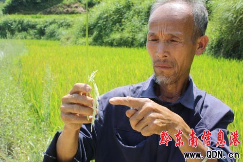 �������գ��F�ݸɺ����m���أ��M�D��