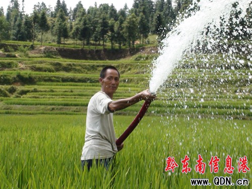 �����h��Ⱥ�R�ěQ��2011����ħ�����D��