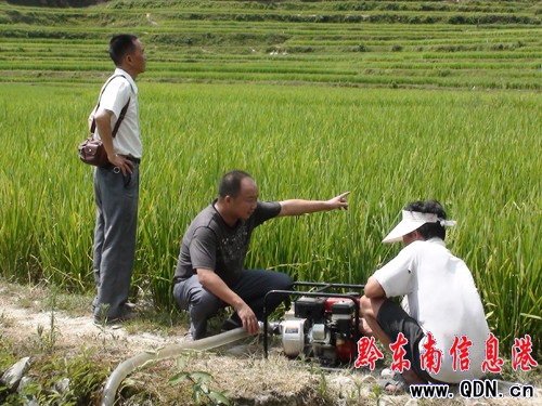 �����h��Ⱥ�R�ěQ��2011����ħ�����D��