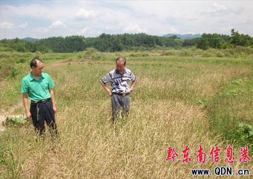 �\���h�˴��I�����~���ָ�������ȞĹ���