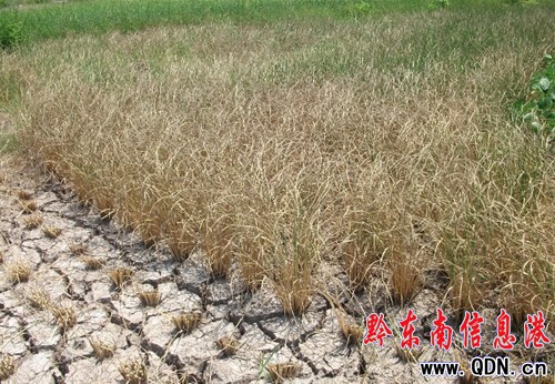 �\���h�˴��I�����~���ָ�������ȞĹ���