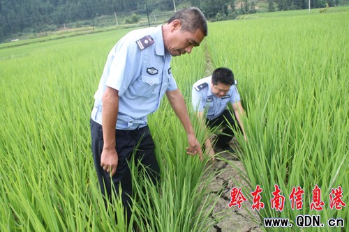 �����Ȟ�  �Ž��������Єӣ��D��